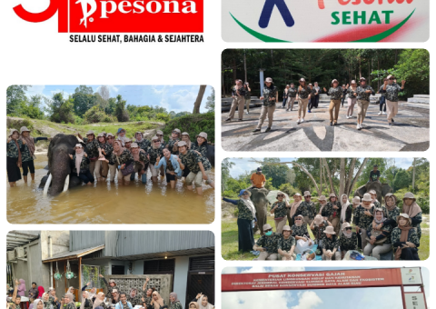 1678258431186 1678258431186