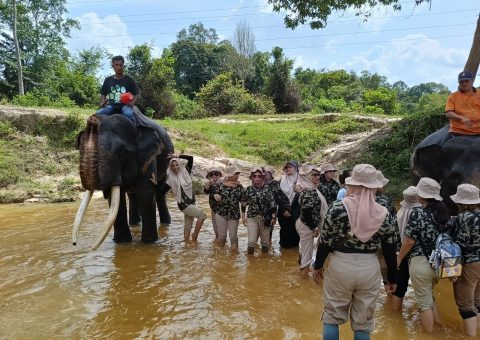 LKP PESONA PEKANBARU LKP PESONA PEKANBARU
