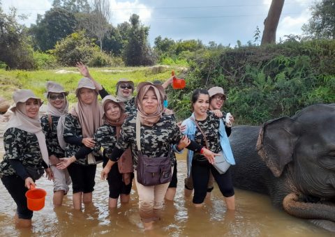 Sanggar senam pesona Pekanbaru Sanggar senam pesona Pekanbaru