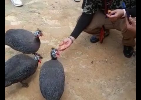 LKP PESONA PEKANBARU LKP PESONA PEKANBARU