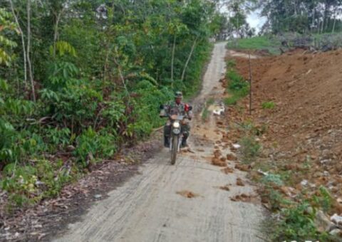 IMG-20231229-WA0021
