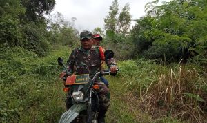 IMG-20240214-WA0041