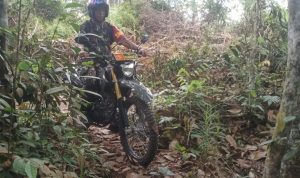 IMG_20240302_104349
