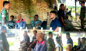 KOmsos peltu Elfi