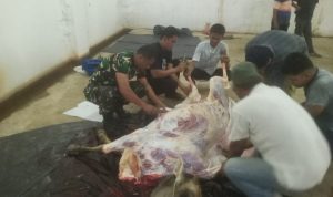 IMG-20240617-WA0066