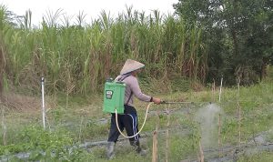 IMG_20240621_114121