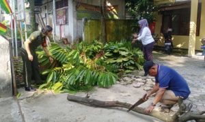 IMG_20240623_081424