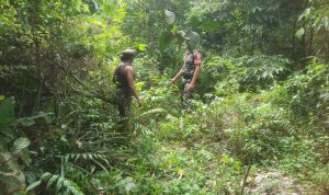 IMG-20240707-WA0042