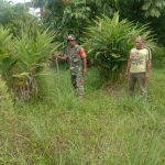 IMG-20240810-WA0029