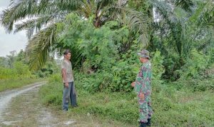 IMG-20240831-WA0108