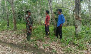 IMG-20240904-WA0063