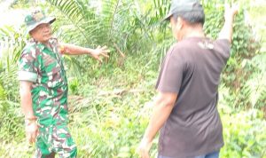 IMG-20240924-WA0012