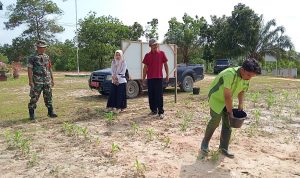 IMG-20241113-WA0061