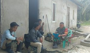 IMG-20241116-WA0086