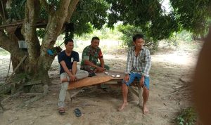IMG-20241203-WA0078