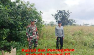 IMG-20250126-WA0031