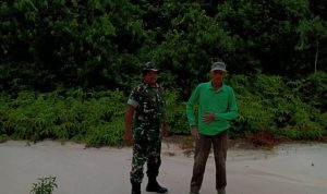 IMG-20250318-WA0092