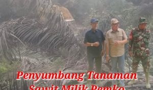 IMG-20250404-WA0019