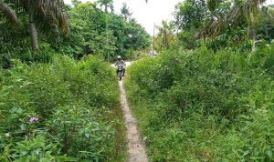 IMG-20250426-WA0042