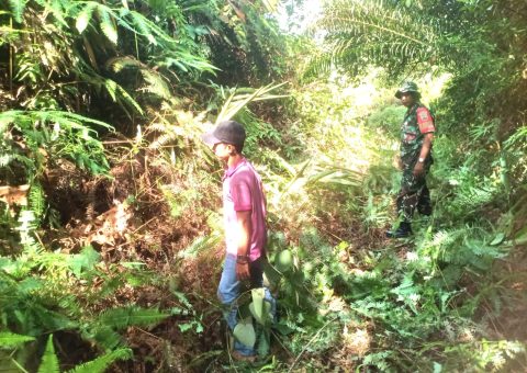 Penelusuran wilayah rawan Karhutla