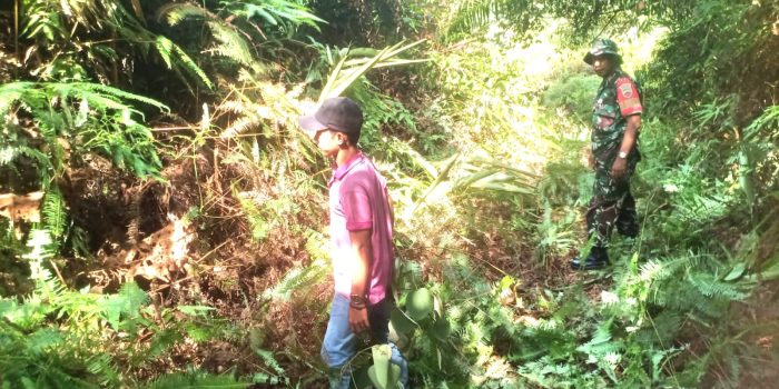 Penelusuran wilayah rawan Karhutla