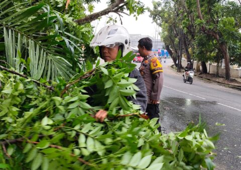 GridArt_20260406_161930700