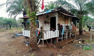 Foto Babinsa TT Giat Karhutla Koramil 07 Tenayan Raya