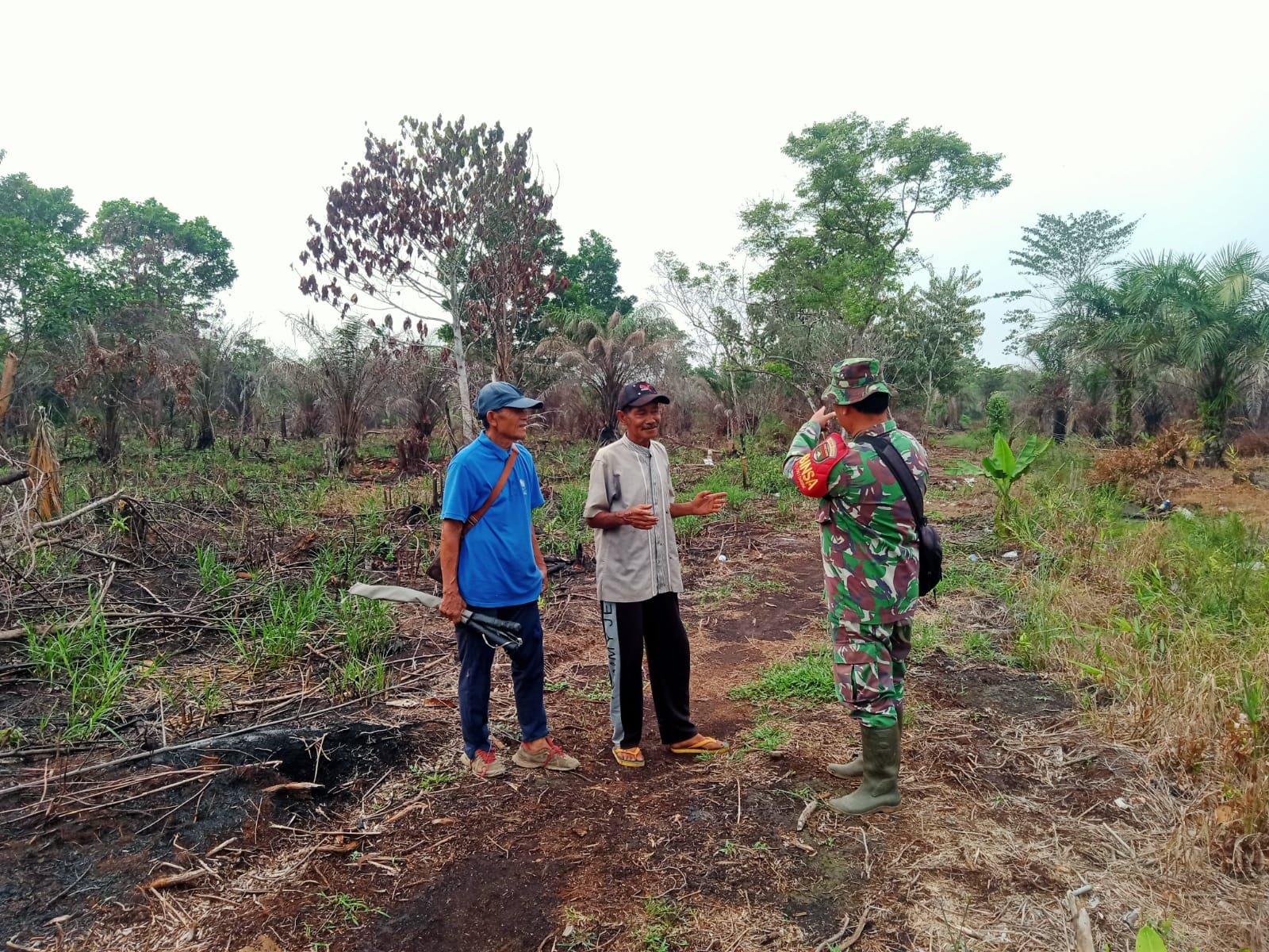 Karhutla dalam pencey