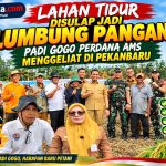 Foto saturealita.com Giat penanaman padi