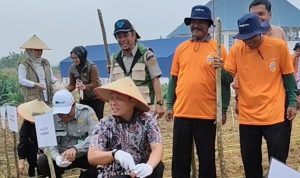 Penamaan jagung Pipil oleh walikota Pekanbaru Agung Nugroho