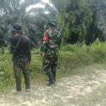 IMG-20261019-WA0008