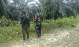 IMG-20261019-WA0008