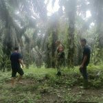IMG-20261024-WA0038