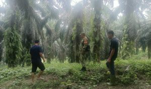 IMG-20261024-WA0038